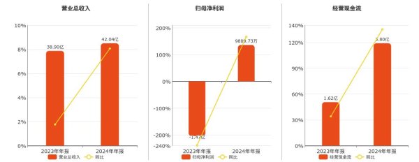 掌心策略 湘佳股份(002982.SZ)：2024年年报净利润为9809.73万元