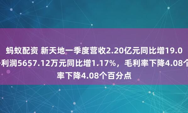 蚂蚁配资 新天地一季度营收2.20亿元同比增19.07%，净利润5657.12万元同比增1.17%，毛利率下降4.08个百分点