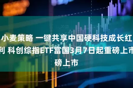 小麦策略 一键共享中国硬科技成长红利 科创综指ETF富国3月7日起重磅上市