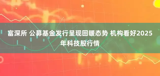 富深所 公募基金发行呈现回暖态势 机构看好2025年科技股行情