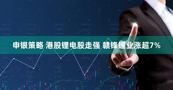 申银策略 港股锂电股走强 赣锋锂业涨超7%